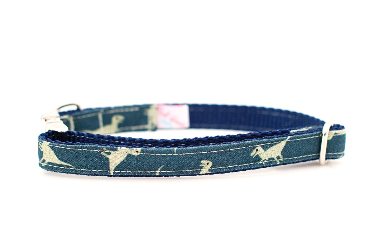 Dino best sale dog collar