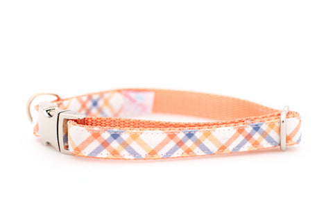 Plaid Collar in Orange and Blue