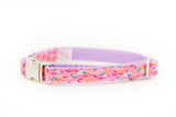 Sprinkles on Pink Collar