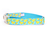 Rubber Ducky Collar