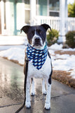 Narwhals in Blue and Green Waves Bandana